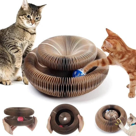 Magic Organ Cat Toy Cats Scratcher Scratch Board Round Corrugated Scratching Post Toys for Cats Grinding Claw Cat Accessories - integrityhomedecor
